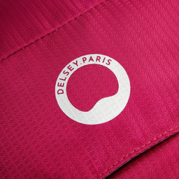 کوله پشتی ورزشی دلسی مدل NOMADE کد 3335612