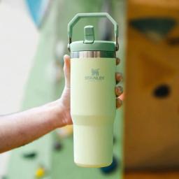 قمقمه استنلی مدل Iceflow Flip Straw Tumbler گنجایش 0.88 لیتر
