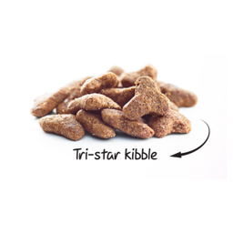 غذا خشک گربه سولواس مدل بالغ طعم مرغ وزن ۲ کیلوگرم