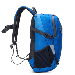 کوله پشتی دلسی مدل NOMADE کد 3335610