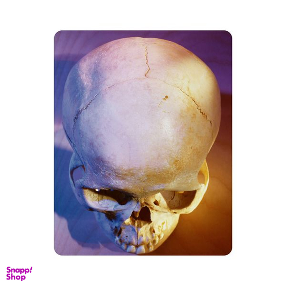 ماوس پد اطلس آبی طرح جمجمه مدل T7357