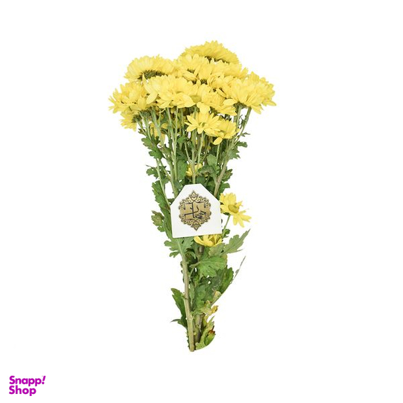 دسته گل داودی مینیاتوری زرد هیمان کد 1066
