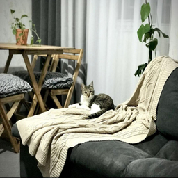 شال مبل و تخت شایسته مدل دیانا کد SM7 سایز 174×144 سانتی متر