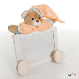 قاب عکس کودک نی نی سیس مدل خرس نانان کد GH-N-Gol/13x18