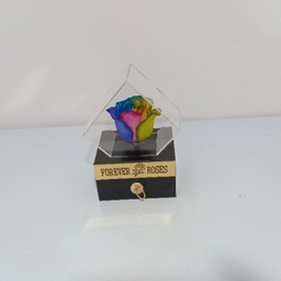 گل خشک رز جاودان کد 507