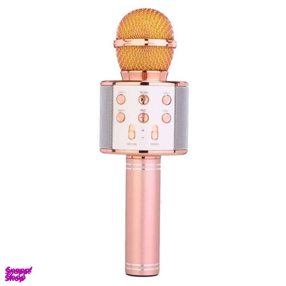 میکروفون اسپیکر دار پرو وان (ProOne) مدل Pbm01
