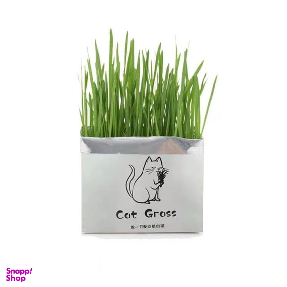 علف گربه Catgrass مدل ca200
