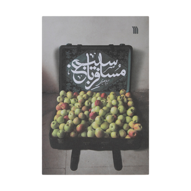کتاب مسافر باغ سیب اثر مریم بصیری نشر سروش