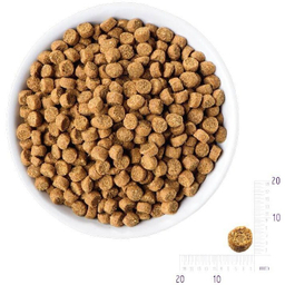 غذای خشک گربه رفلکس مدل Chicken وزن 1.5 کیلوگرم