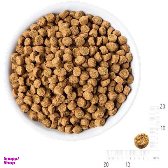 غذای خشک گربه رفلکس مدل Chicken وزن 1.5 کیلوگرم