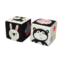 بازی آموزشی انتشارات ماه کوچولو مدل مکعب جغجغه ای بسته 2 عددی