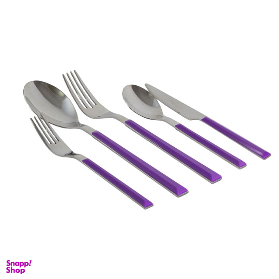 سرویس قاشق و چنگال 31 پارچه سی اند اس