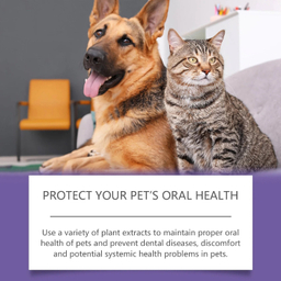 ژل مراقبت دهان و دندان حیوانات خانگی یگبونگ مدل Yegbong Purple حجم 6 میلی لیتر بسته 2 عددی