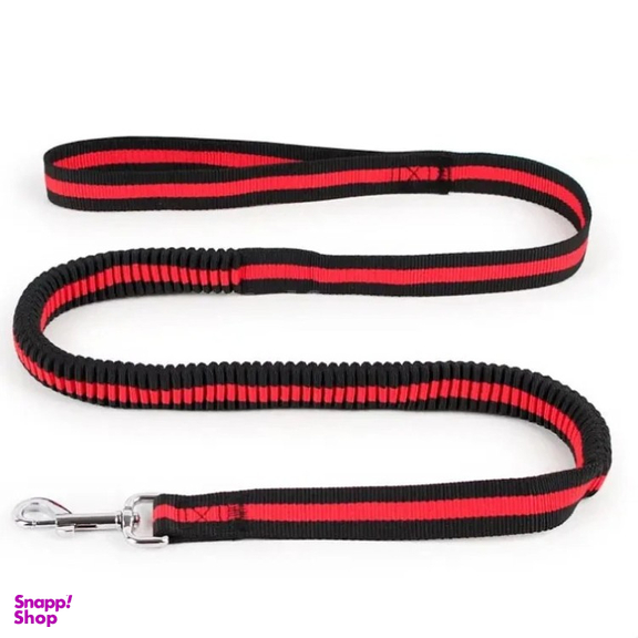 بند قلاده سگ کد 23