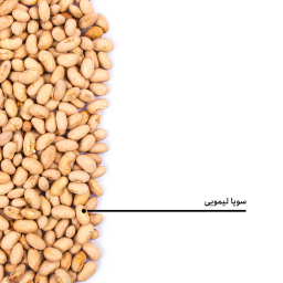 سویا لیمویی بارجیل
