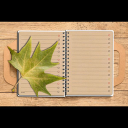 دفترچه یادداشت مستر راد طرح کرافت مدل گربه کیوت فانتزی کد Fiory 1928