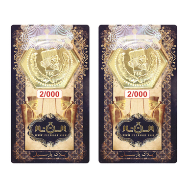 سکه گرمی پارسیان الن نار مدل EL4000 وزن 4 گرم - 2 عدد سکه 2 گرمی