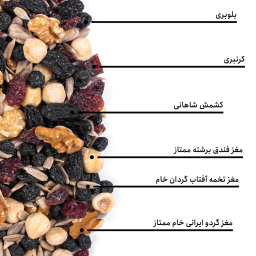مخلوط آجیل اروپایی بارجیل