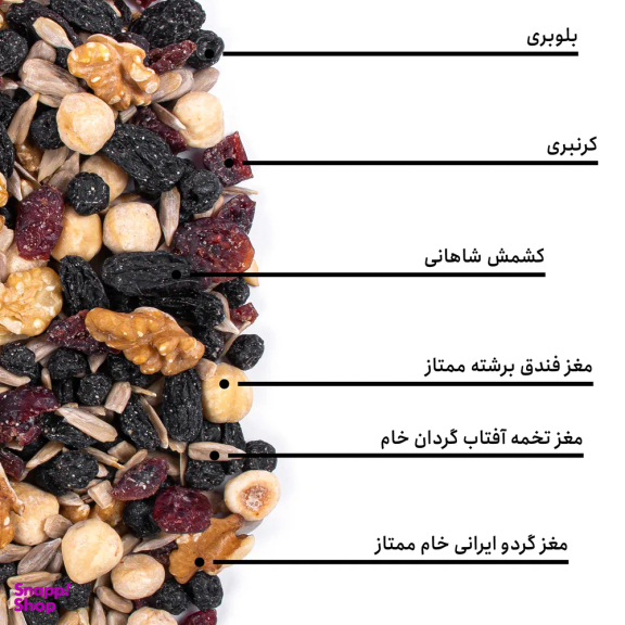 مخلوط آجیل اروپایی بارجیل