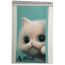 دفتر نقاشی 50 برگ گلاسه آلا کد 8