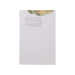 کتاب از دیار حبیب اثر سیدمهدی شجاعی نشر نیستان