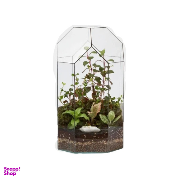 تراریوم آرمیس کد g-tr-sol-133-22