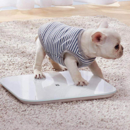 ترازو شیائومی مدل Mi Smart Scale 2