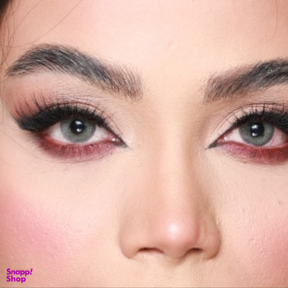 لنز رنگی سالیانه هرا شماره 09 کد RYA310 رنگ سبز طوسی دور مشکی