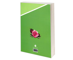 کتاب سیره اهل بیت (ع) در حج اثر محمدجواد جوادی نشر مشعر