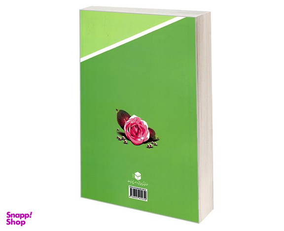 کتاب سیره اهل بیت (ع) در حج اثر محمدجواد جوادی نشر مشعر