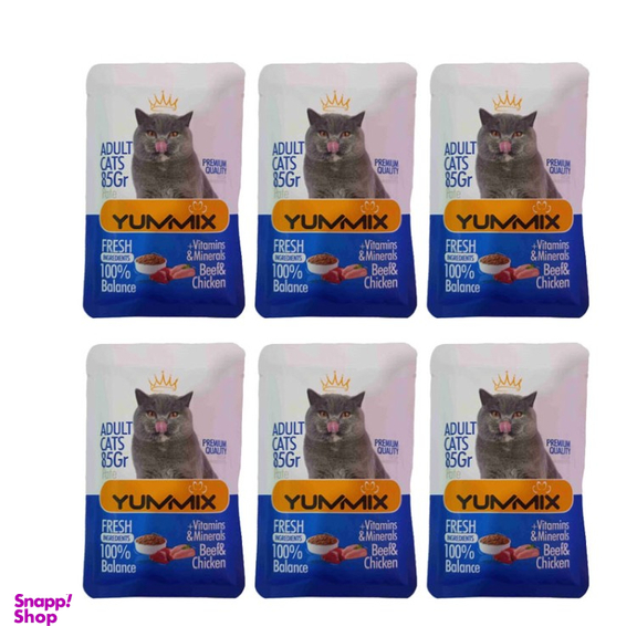 پوچ گربه بالغ یامیکس مدل پوچ گربه طعم مرغ، گوشت گاو وزن 85 گرم بسته 6 عددی