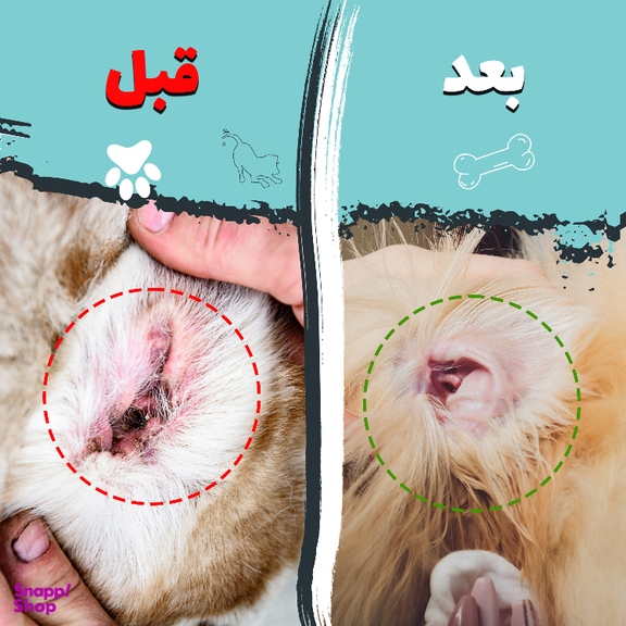 دستمال مرطوب سگ و گربه مخصوص گوش و اطراف چشم کوالاپت مدل Wipes03 بسته ۲ عددی