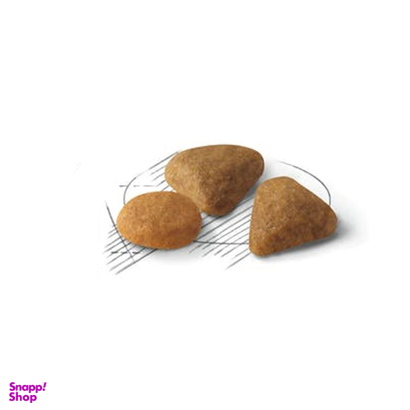 غذای خشک گربه رویال کنین مدل گربه بد غذا وزن 2 کیلوگرم