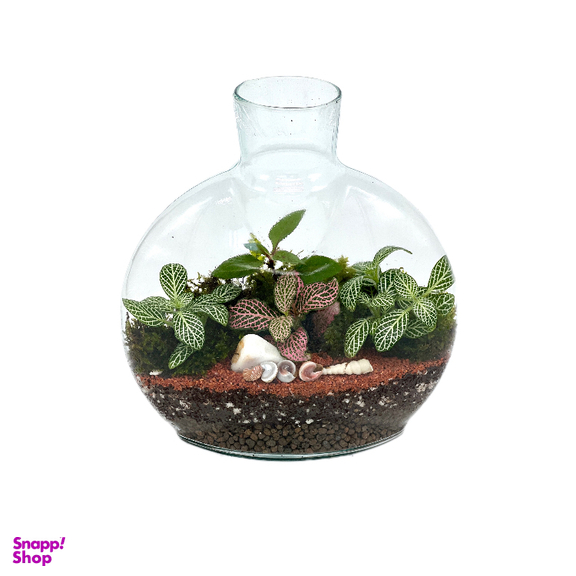 تراریوم مدل آنتالیا سایز کوچک