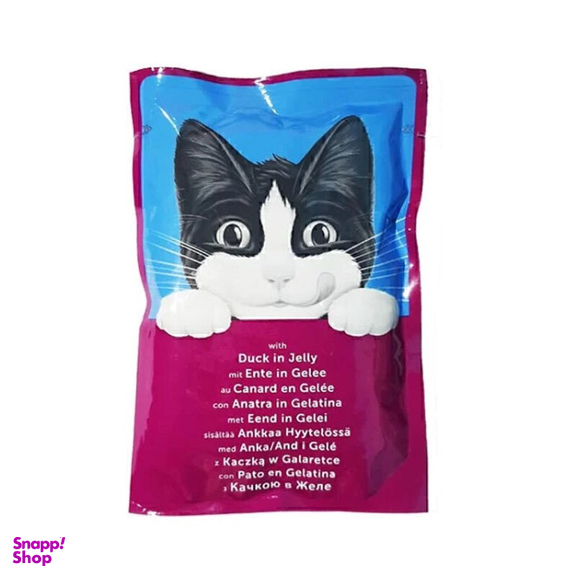 پوچ گربه فلیکس طعم اردک وزن 85 گرم