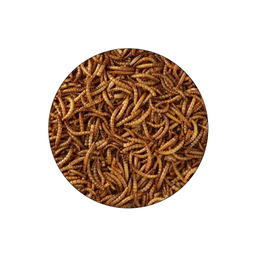 غذای ماهی میل ورم شهرپت مدل FishMealworms وزن 100 گرم