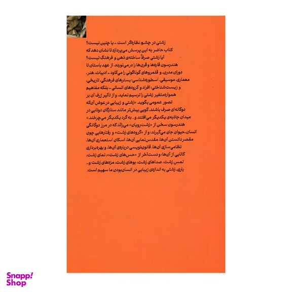 کتاب تاریخ فرهنگی زشتی اثر گرچن هندرسون نشر ماهی