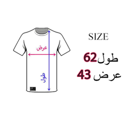 تیشرت پسرانه مدل اسکلت کد B29 رنگ طوسی