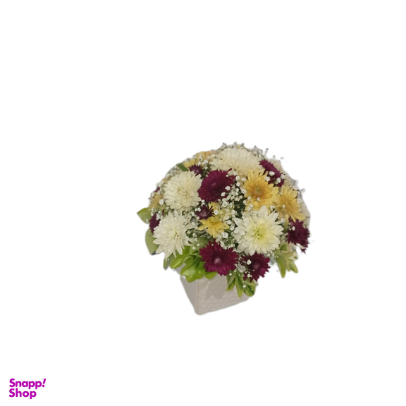باکس گل طبیعی داوودی کد 113