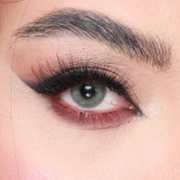 لنز رنگی سالیانه هرا شماره 09 کد RYA310 رنگ سبز طوسی دور مشکی