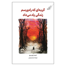 کتاب گربه ای که راه و رسم زندگی یاد می داد اثر جیمز نوربری انتشارات کتاب کوله پشتی