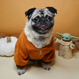 لباس سگ و گربه مدل 604 رنگ طوسی