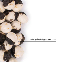 کشک خشک دورنگه قره قروتی گرد بارجیل