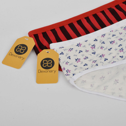 شورت زنانه دکسونری مدل 125011305 مجموعه 2 عددی