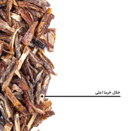 خلال خرما اعلی بارجیل