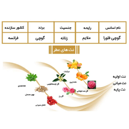 ادوپرفیوم زنانه ایفوریا مدل Flora by GUCCI با رایحه خنک حجم 100 میلی لیتر