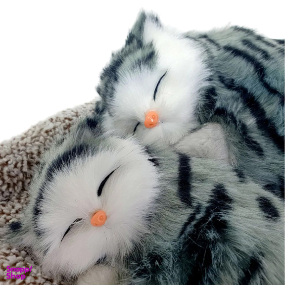 تصفیه کننده هوای خودرو طرح گربه کد 101