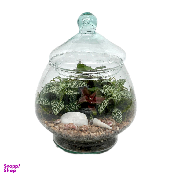 تراریوم مدل زنبق