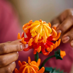 لگو سری آیکون مدل Chrysanthemum 10368