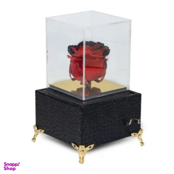 رز جاودان مدل موزیکال کد g-rj-rah-777-14